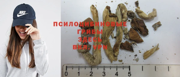 кокс Аркадак