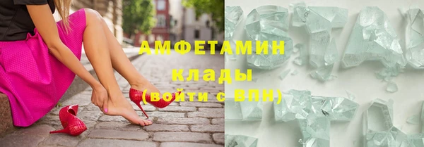 шишки Арсеньев