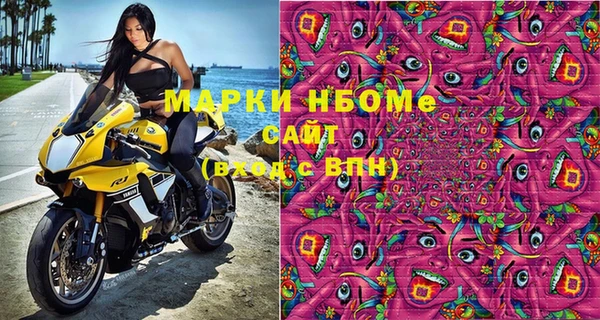 шишки Арсеньев