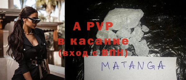 шишки Арсеньев