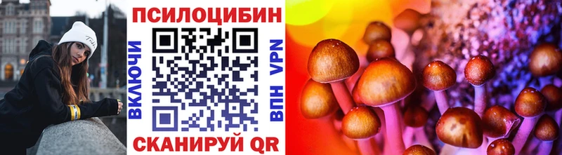kraken зеркало  Георгиевск  Псилоцибиновые грибы прущие грибы 